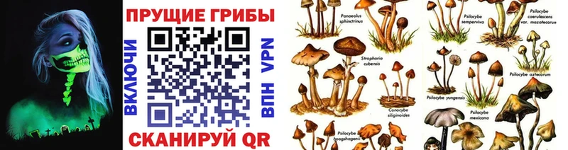 Галлюциногенные грибы GOLDEN TEACHER закладки Щигры